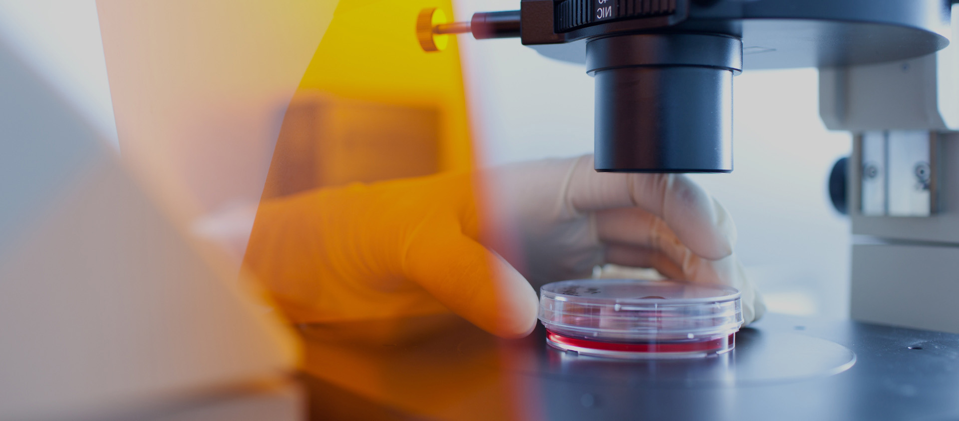 Image: Our 30-year Commitment to HIV/AIDS